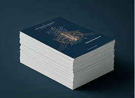 Brochure Layouts Grey / White Back
